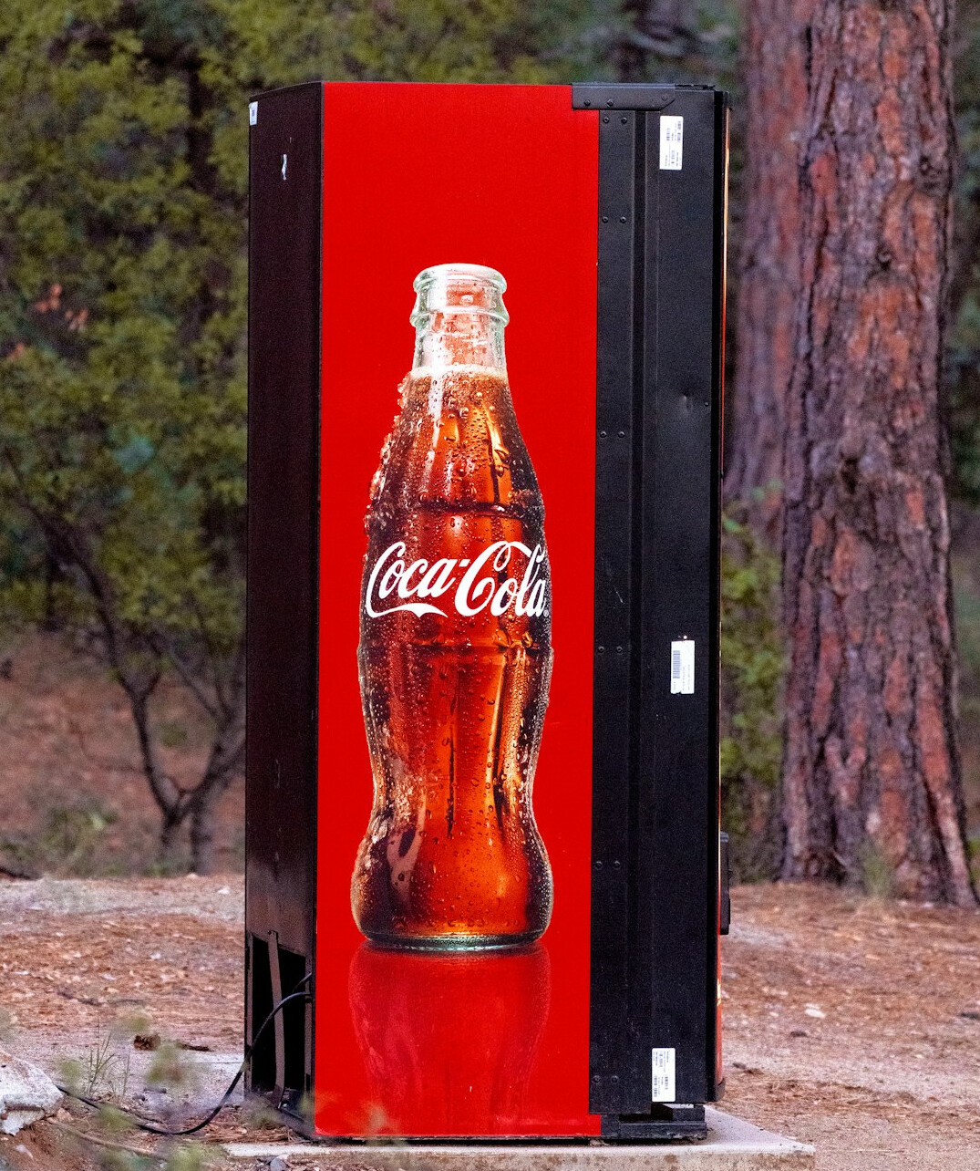 1950s coca cola ad